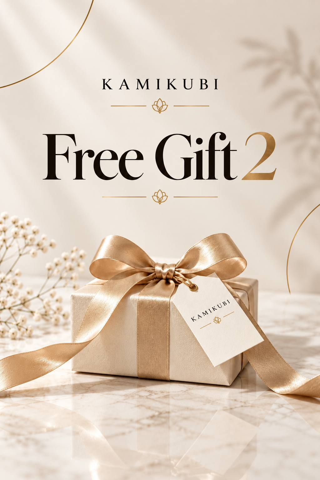Free Gift 2